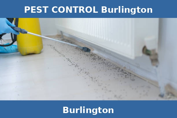 PEST CONTROL Burlington